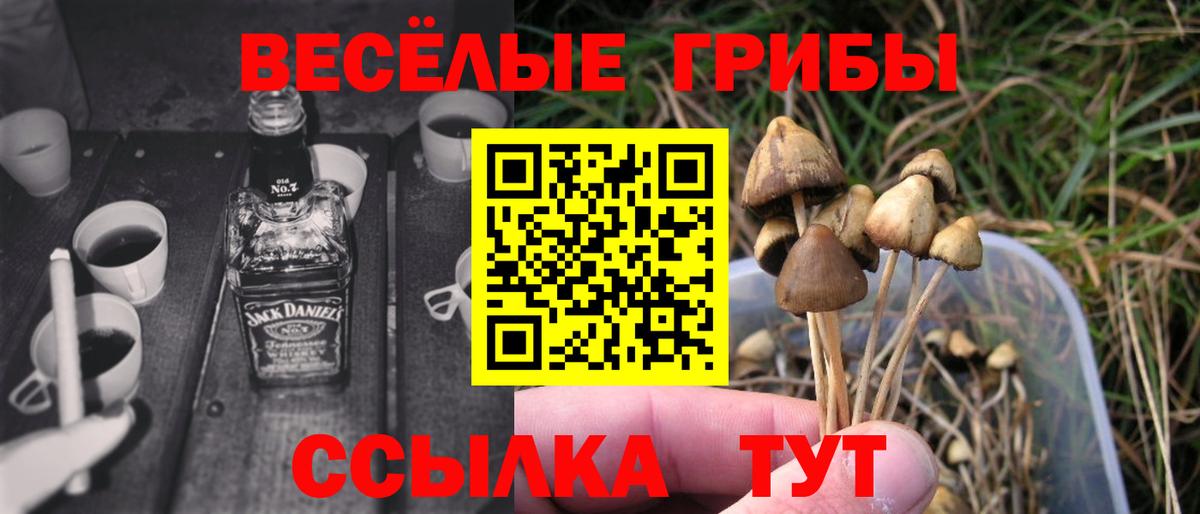 Галлюциногенные грибы MAGIC MUSHROOMS  Вход с VPN  Шахты 
