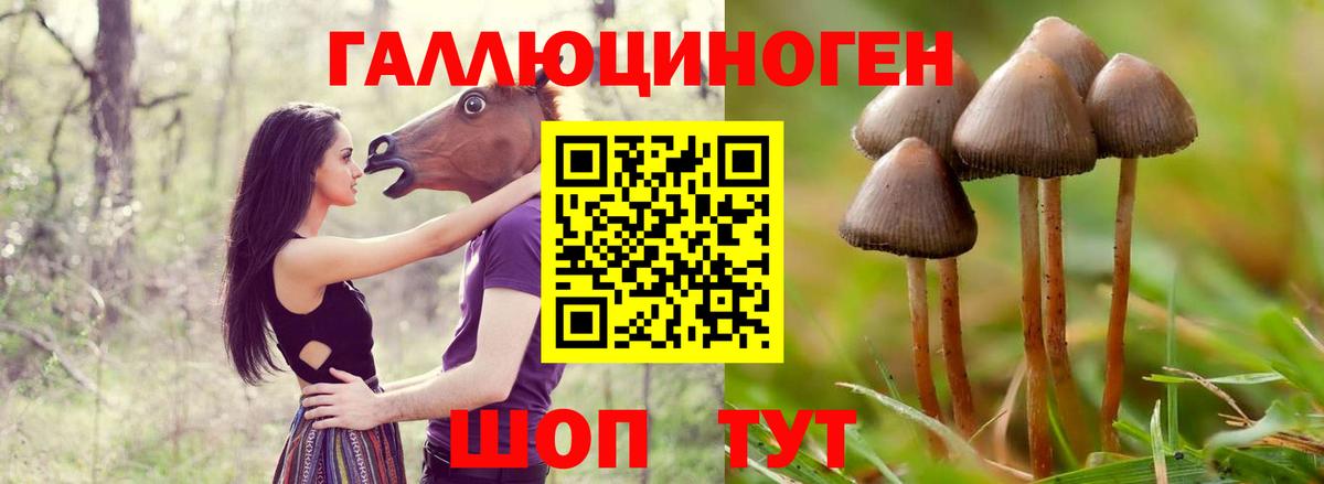 Псилоцибиновые грибы MAGIC MUSHROOMS Шахты